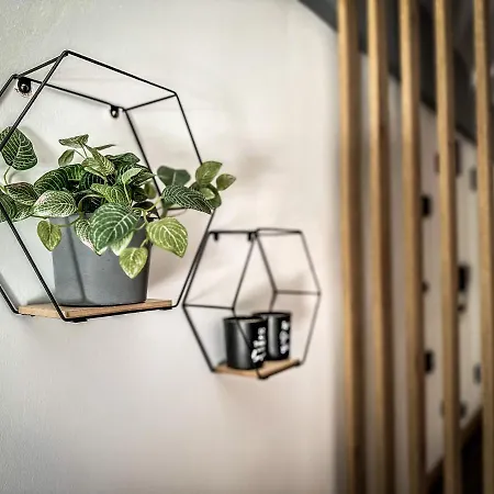 Case de vacanță Comfort Luxury Studio *